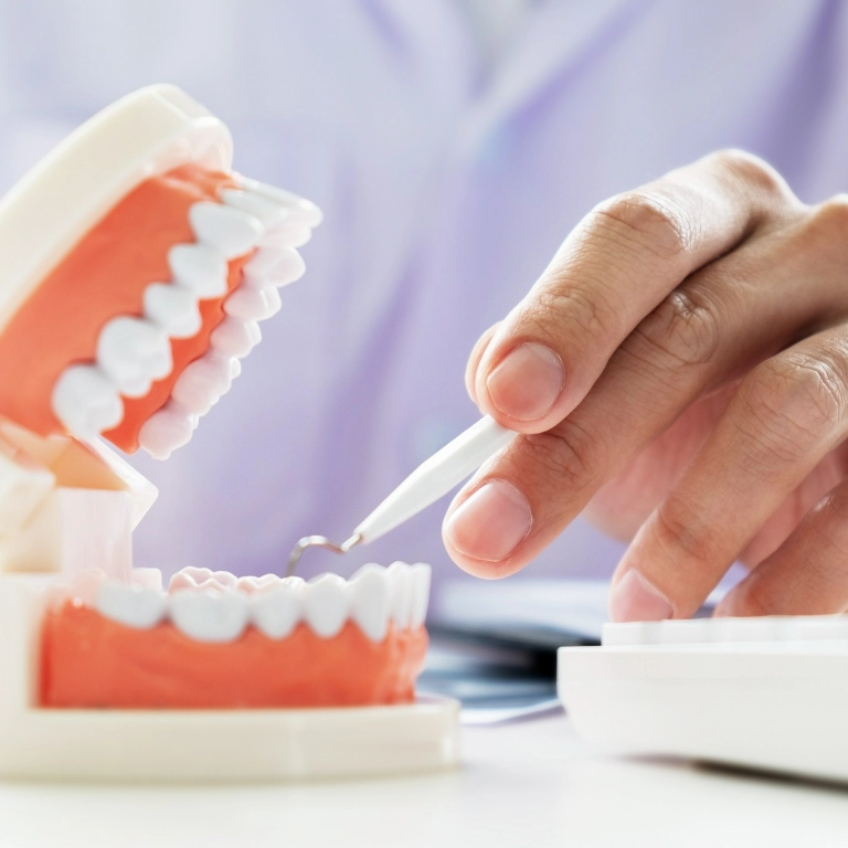 Sztuczna szczęka i&nbsp;ręka